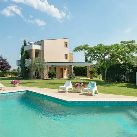 Olea Shared Pool I, Sani KASSANDRA